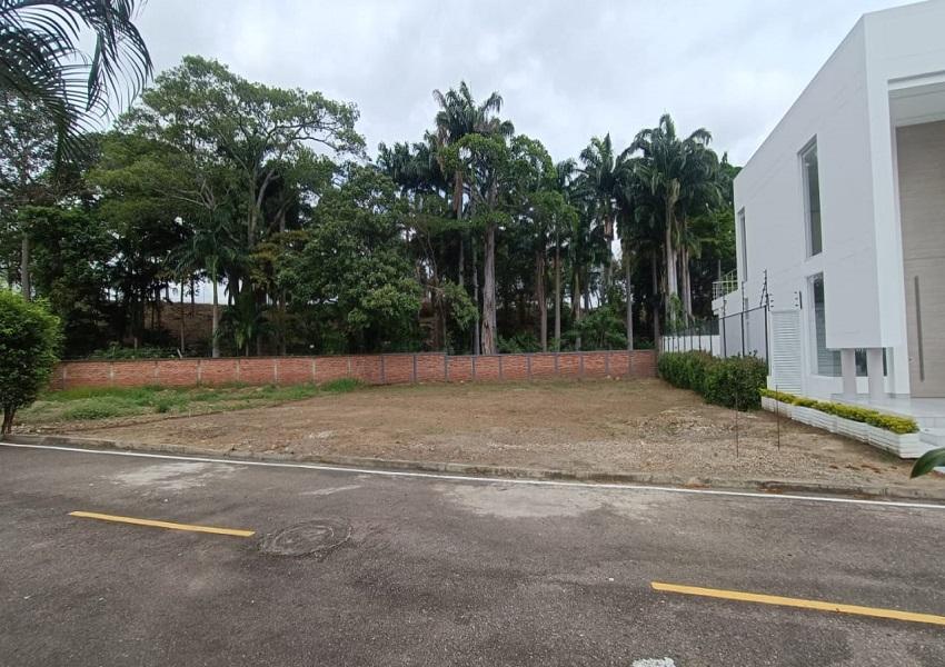 properties